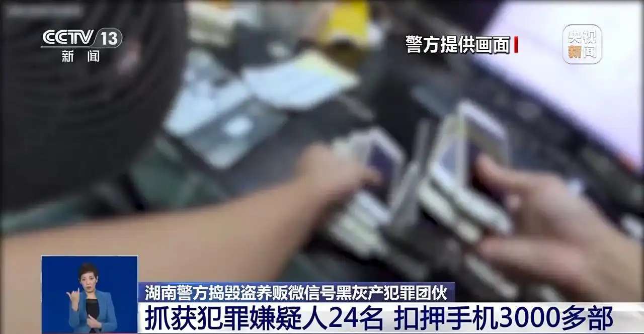 湘潭警方端掉黑灰产团伙 _长期收购微信号秒结账的_