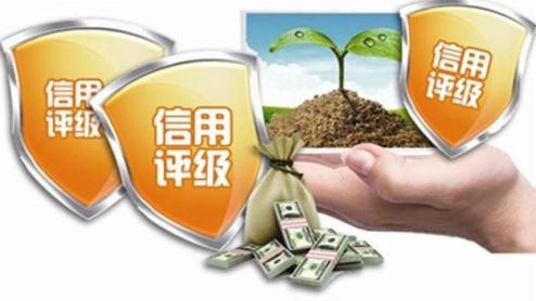 个人保证贷款的特点有_社会信用体系核心作用_社会信用体系建立完善