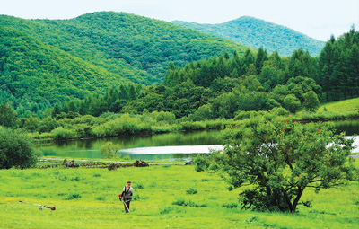 延边州林下灵芝种植标准化示范区_吉林省道地药材质量标准_吉林敖东的灵芝孢子粉哪里有卖