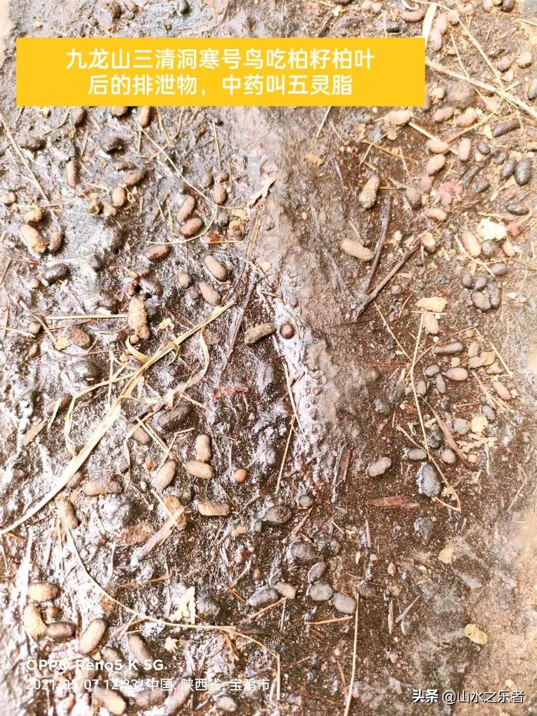 九龙山风景_潇水河九龙山旅游攻略_九龙山玻璃栈道