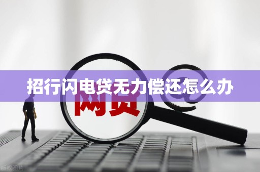 招行闪电贷无力偿还怎么办