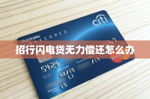 招行闪电贷无力偿还怎么办