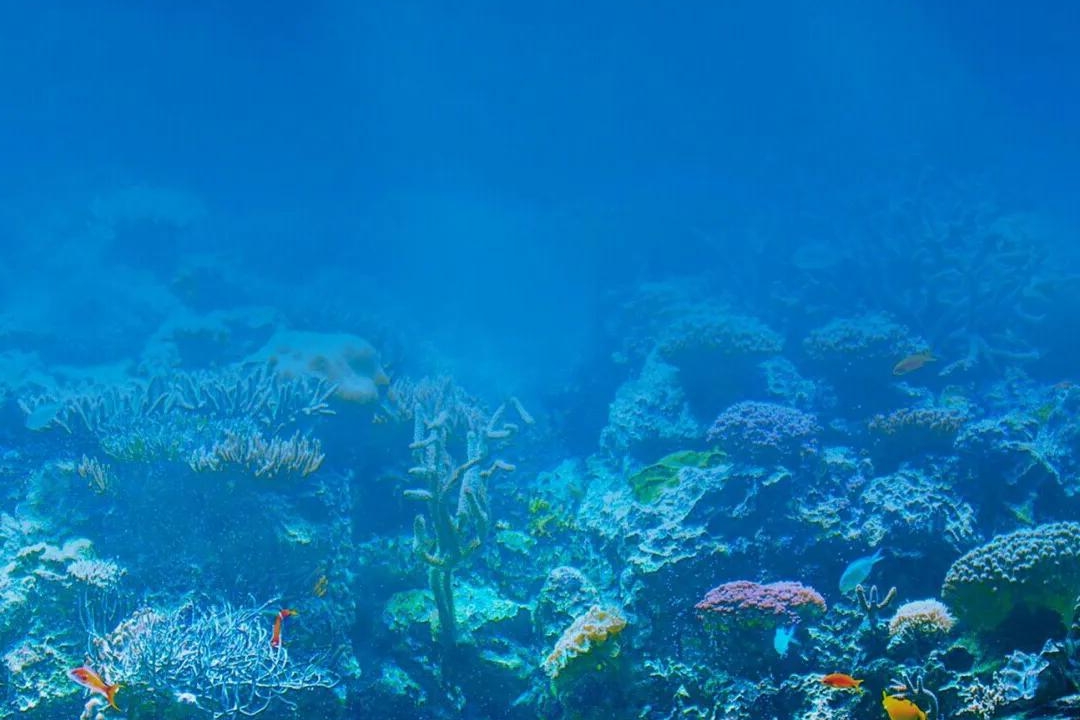 中年人兼职副业推荐_中年失业如何赚钱_新门路低金额创业