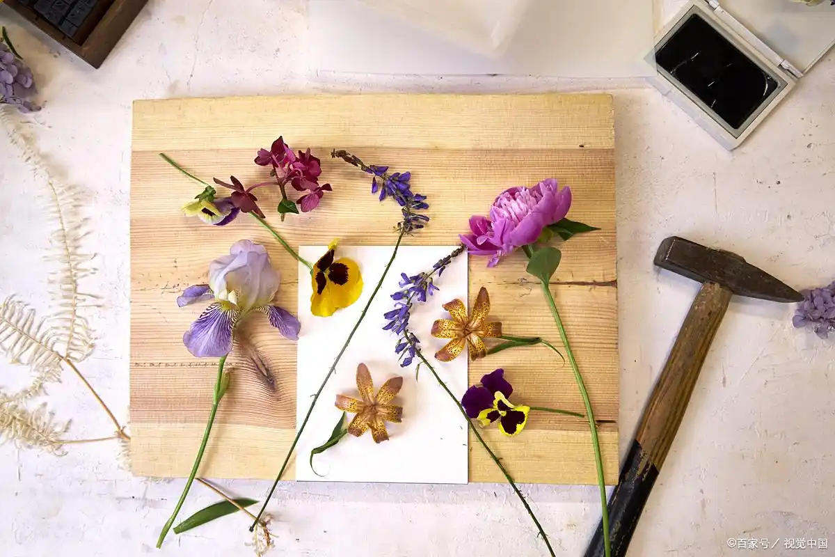 注册网赚_新手网赚方式_适合小白的网赚平台