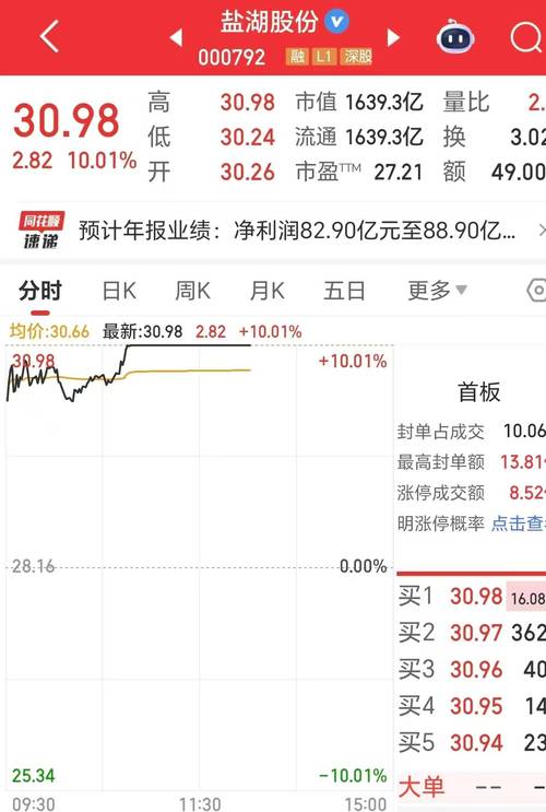钾肥之王盐湖股份债务困境_*ST盐湖2019年亏损_盐湖股份估值