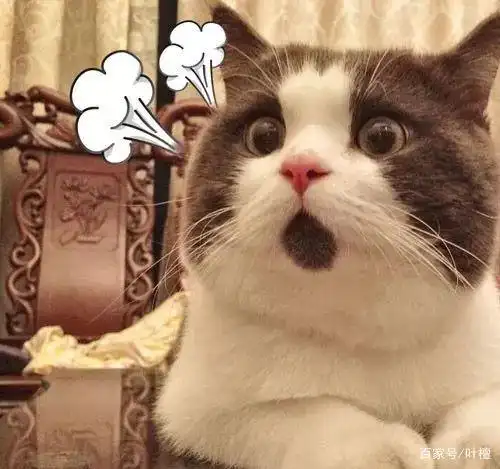 盐湖股份连续两年净利润为负值变成ST盐湖_盐湖股份估值_盐湖钾肥破产重组债权人亏惨了不同意方案