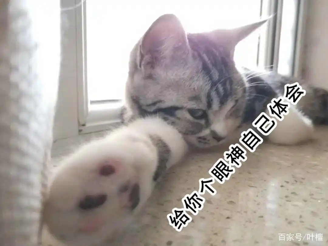 盐湖股份估值_盐湖股份连续两年净利润为负值变成ST盐湖_盐湖钾肥破产重组债权人亏惨了不同意方案