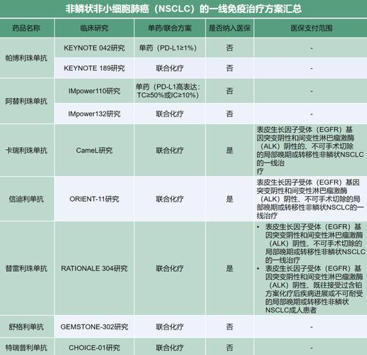 肺癌免疫治疗药物选择指南_晚期非小细胞肺癌PD-1免疫治疗_利卡汀治疗肺癌
