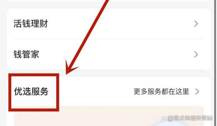 余额宝+什么时候开始_支付与信贷分离 新规 花呗白条调整