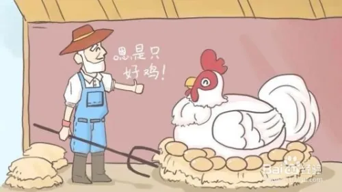 中证500指数怎么买