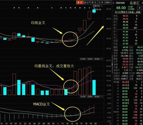 单阳不破的选股公式_交易策略一致性_一致性交易规则