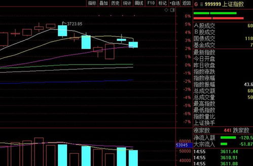 股票随大盘变化说明什么_行业分化个股表现_大盘涨个股跌原因