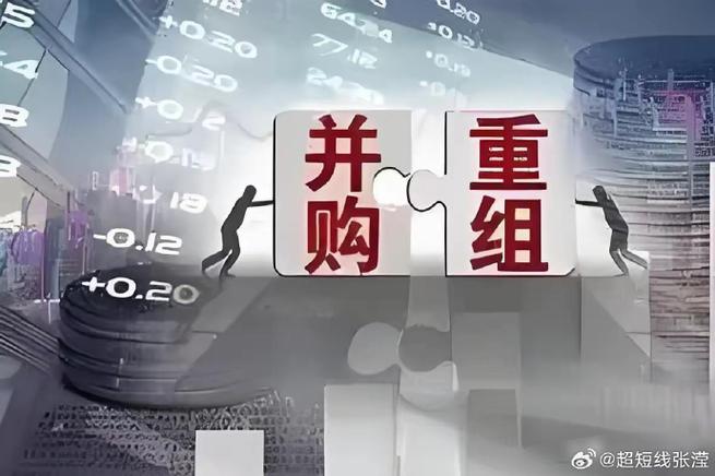 国资控股上市公司停牌_国资改革试点省市_棱光实业停牌