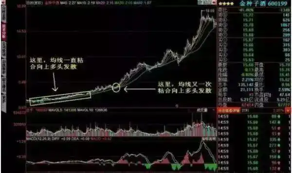 均线粘合向上发散选股_短线是银点火选股指标_三军会师均线系统