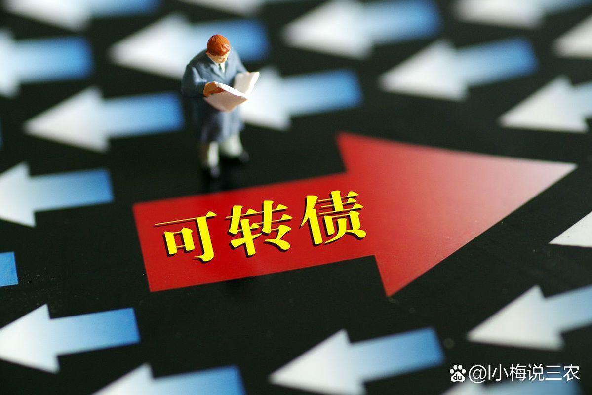 银行转债集中退市_可转债退市投资者损失_银行可转债供给收缩